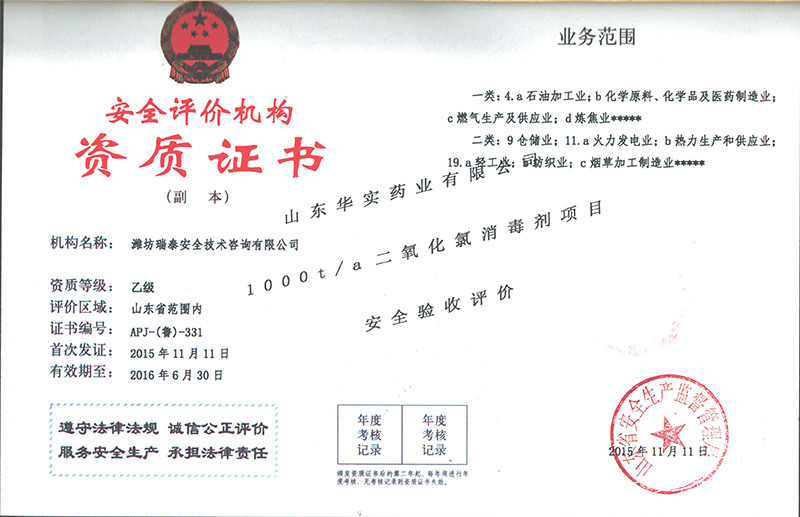 山东华实药业安全验收评价报告
